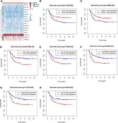 DNA Hypermethylation-Regulated CX3CL1 Reducing T Cell Infiltration Indicates Poor Prognosis in Wilms Tumour
